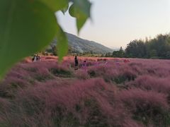 -塔川景区