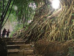 -黔蘑菇四季餐厅(观山湖店)