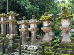 -奈良公园