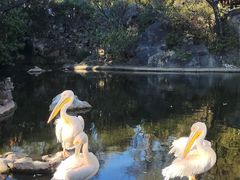 -昆明动物园