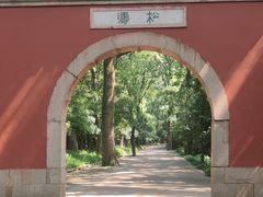 -灵谷景区