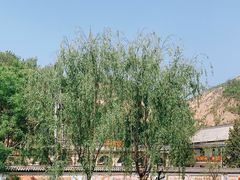 -梁家河村红色旅游区