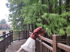-东湖落雁景区
