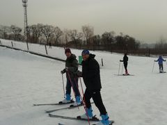 -东方巨龟苑景区