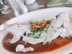 -八仔大富楼·河鲜(西江店)