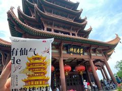 -黄鹤楼公园(黄鹤楼)