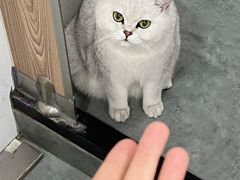 -拳盛时代拳击俱乐部(北京路店)