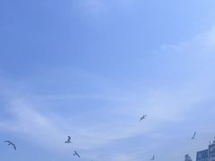 -棒棰岛宾馆景区