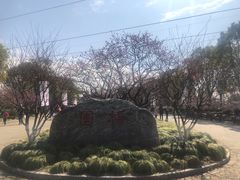 -上海海湾国家森林公园