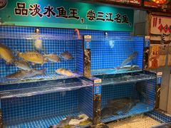 -老渔翁炖鱼坊(黄海西路东山店)