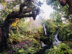 -Chom Cafe and Restaurant