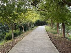-九龙潭景区