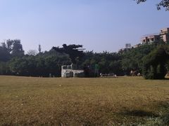 -广州雕塑公园