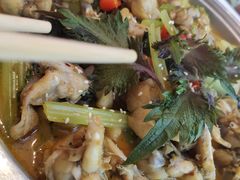 紫苏牛蛙-松哥油焖大虾(皇岗一店)