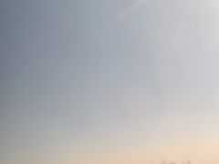 -合肥滨湖国家森林公园