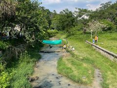 -红山村