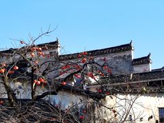-塔川景区