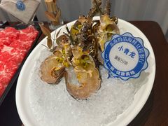 小青龙-东海怡品海鲜豆捞(舟宿夜江店)