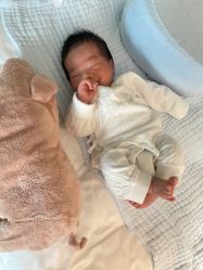 -禧月荟S月子中心(侨城店)