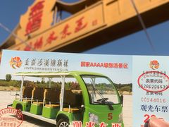 -金塔沙漠胡杨林景区
