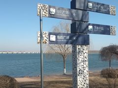 -丁香湖公园