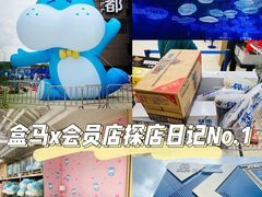 -盒马X会员店(上海森兰商都店)