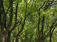 -宁波市保国寺古建筑博物馆