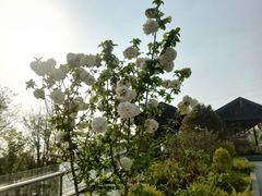 -茅草房·河畔园林火锅