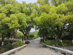 -玄武湖景区-情侣园游乐场
