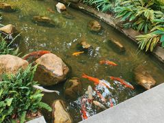 -广州花园酒店
