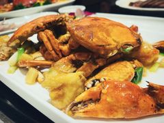 姜葱炒肉蟹-新南华大酒店(广中店)