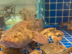 -阿明小菜·海鲜·上海菜(梅陇店)