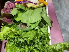 -东来顺铜锅炭火涮肉(上地华联店)