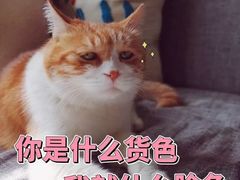 -天真蓝照相馆(中华广场店)