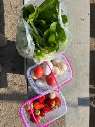 -蓝呗呗蓝莓草莓采摘园(通州区马驹桥店)