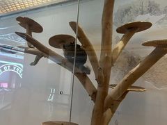 -宁波九龙湖开元度假村