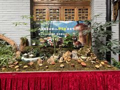 -蔼若春.传承云南菜(金碧公园店)