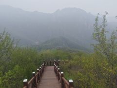 -大岭沟猕猴桃谷风景区