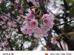 -静安雕塑公园