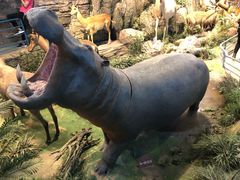 -陕西自然博物馆