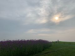 -秦皇岛阿尔卡迪亚滨海度假酒店