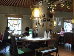 -探窝·竹笙椰子鸡(杨箕店)