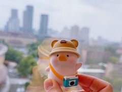 -成都天府丽都喜来登饭店