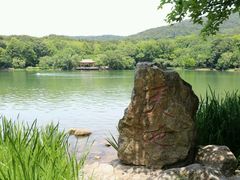 -紫霞湖公园