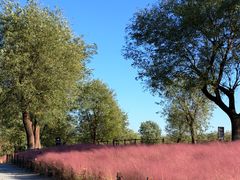 -汉长安城未央宫国家考古遗址公园