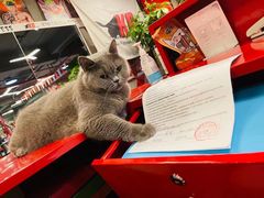 -KingBull私教健身&格斗订制(龙井商业中心店)