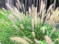 -木守西溪溪隐餐厅
