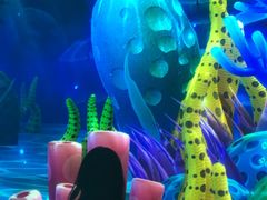 -享月汤皇·海鲜小火锅·聚会(曲江创意谷店)