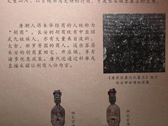 -西安大唐西市博物馆