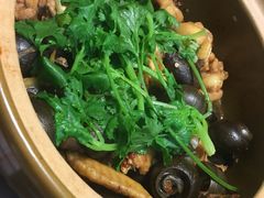 -食爺炭炉鸡煲·烧烤